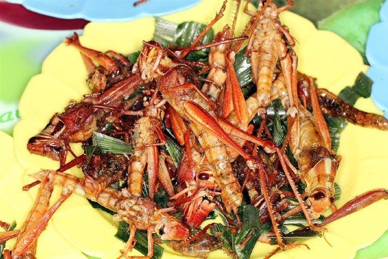 “الجراد” طبق شهي بالنسبة للبعض ومقزز بالنسبة لآخرين، لكن هل يعتبر تناوله آمناً؟