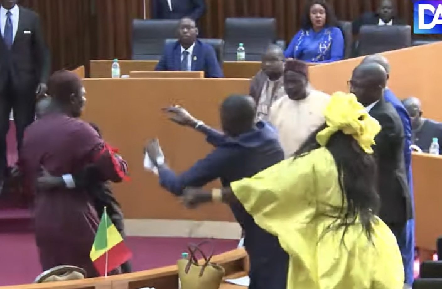 فيديو لنائب سنغالي يصفع زميلته على وجهها.. واقعة تحولت لعراك بالأيدي تحت قبة البرلمان