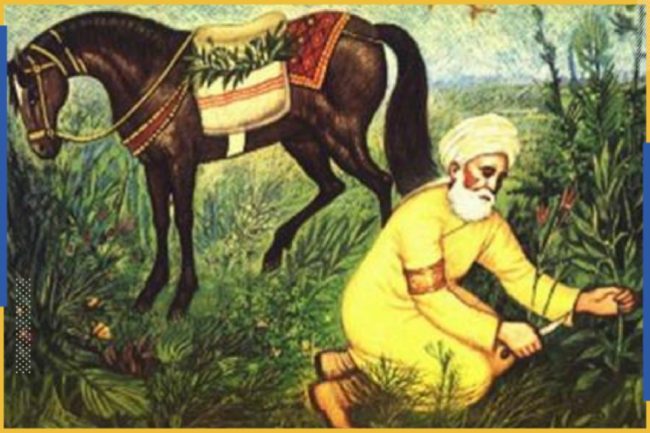 من بينها الطب والرياضيات والجغرافيا.. كيف نبغ علماء القدس في العلوم التجريبية؟