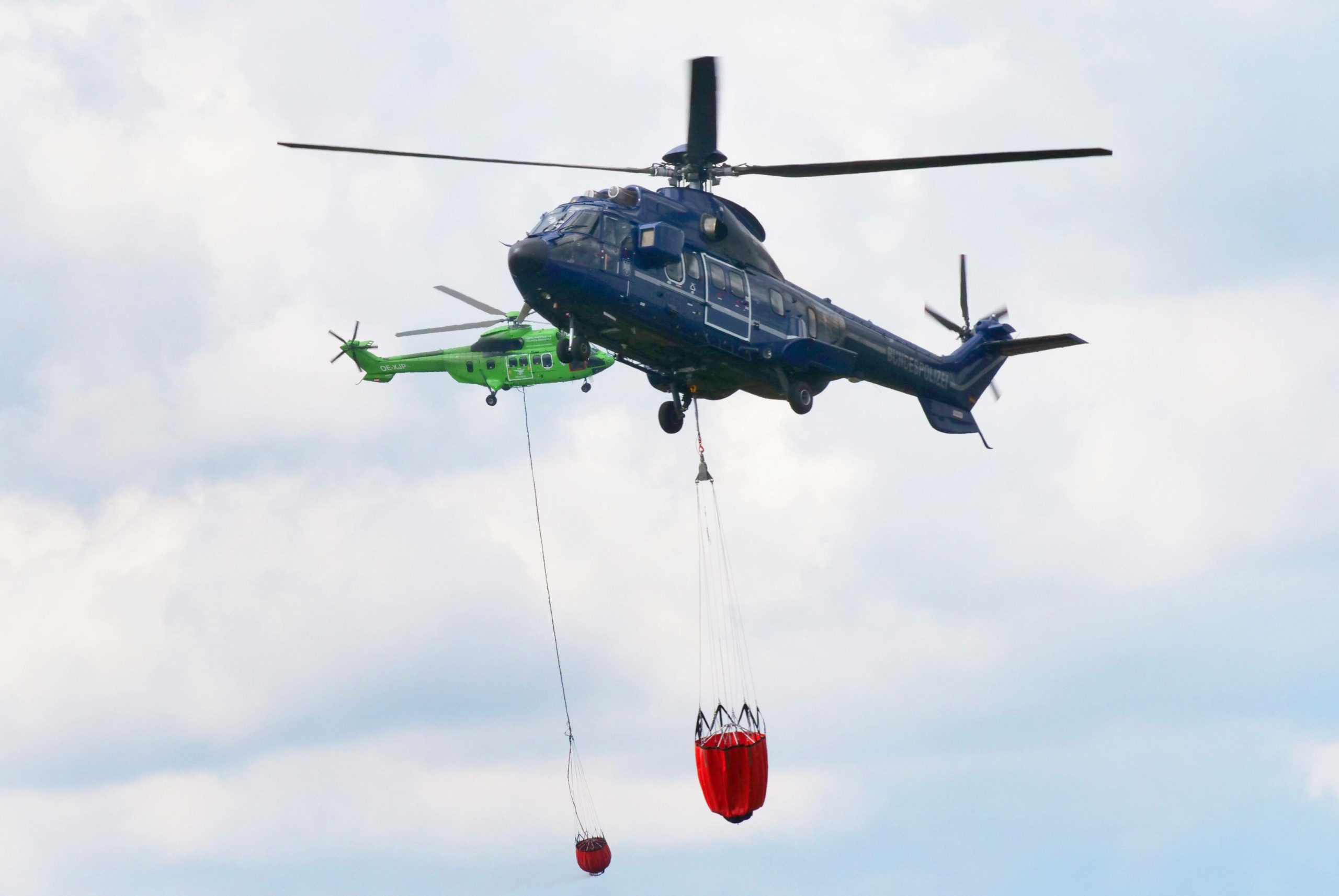 فيديو من داخل قمرة القيادة يُظهر لحظة اصطدام مروحيتين في أستراليا.. الحادثة أودت بحياة 4 أشخاص