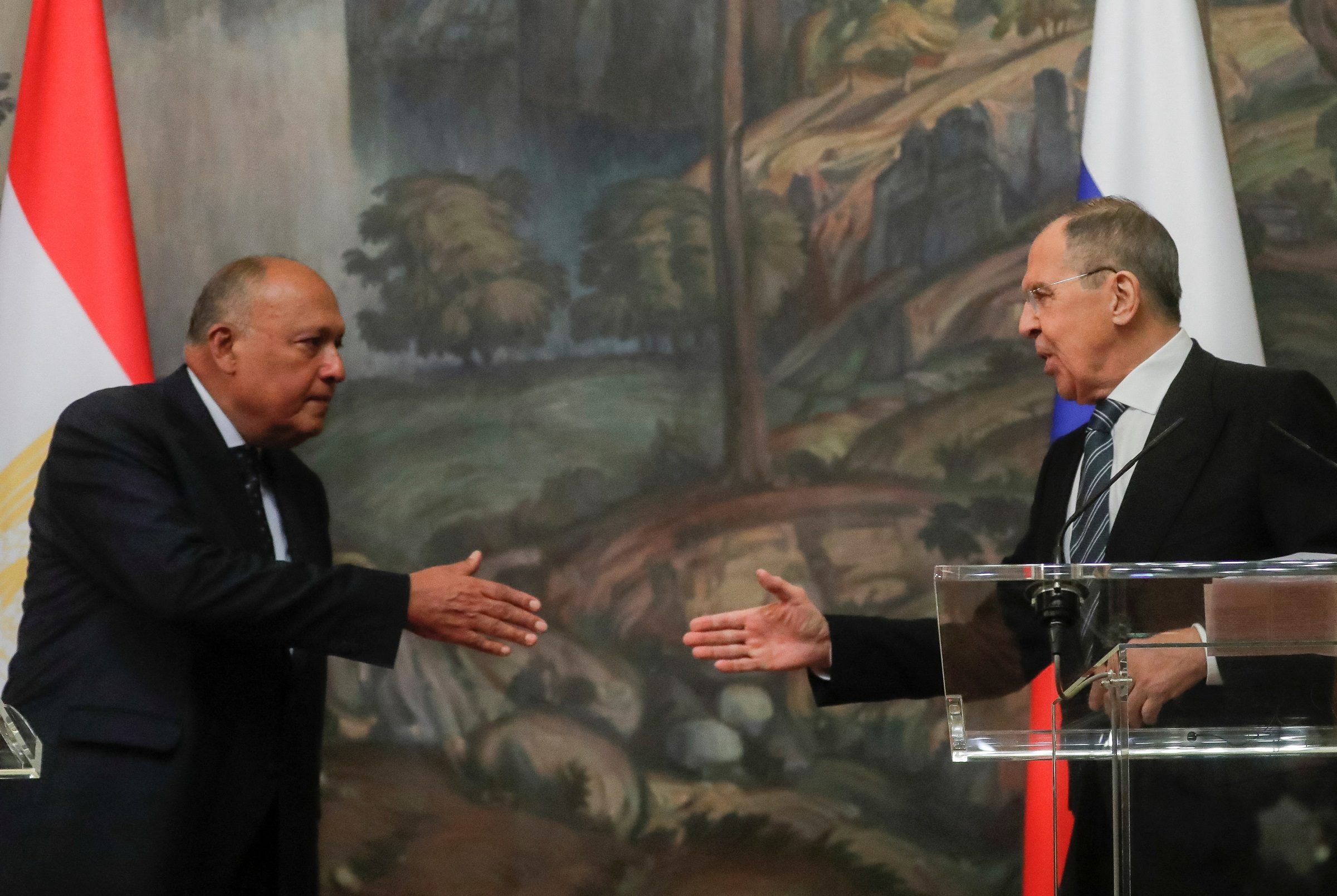 سيرغي لافروف سامح شكري