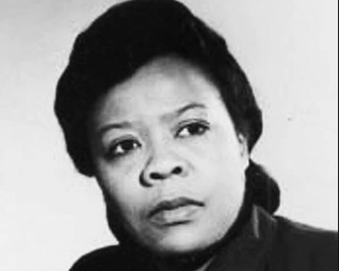 ماري فان بريتان براون