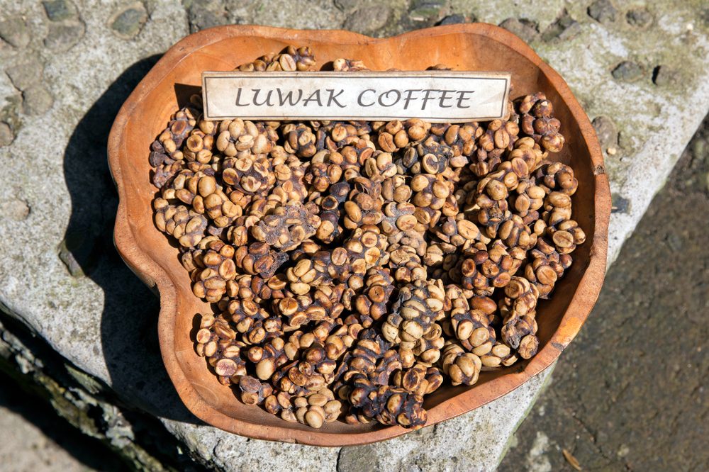 أغلى قهوة في العالم 