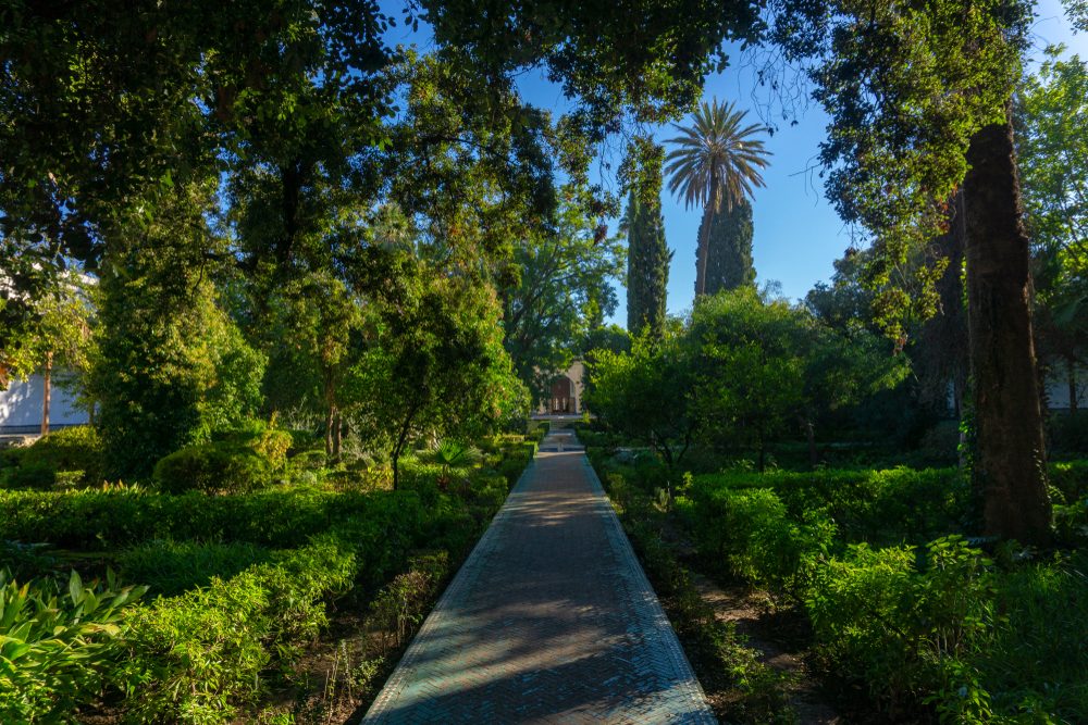 متحف البطحاء