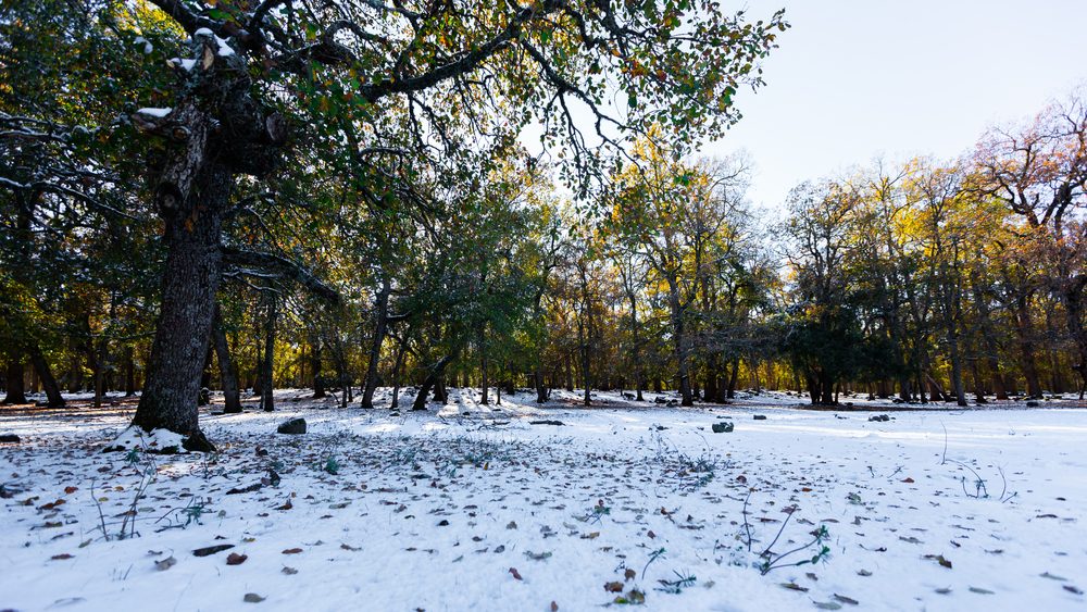 سويسرا المغرب