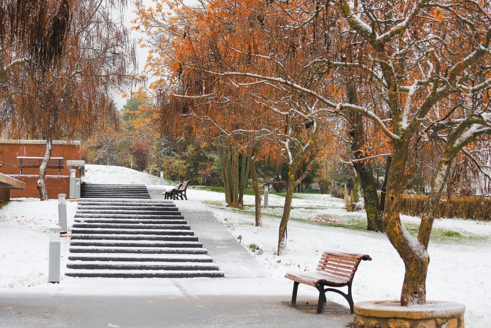سويسرا المغرب