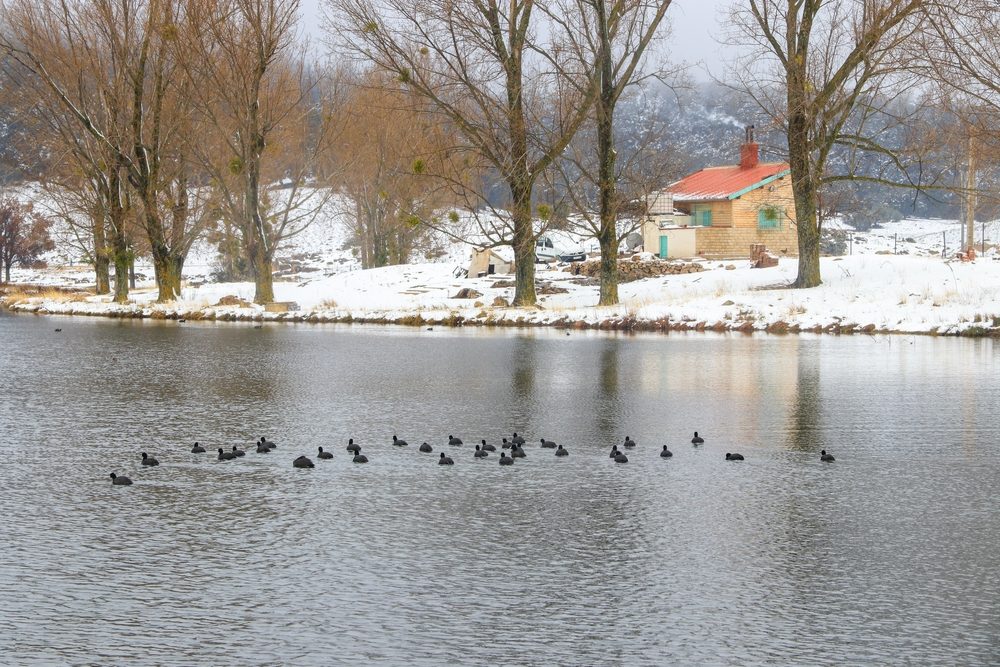 سويسرا المغرب