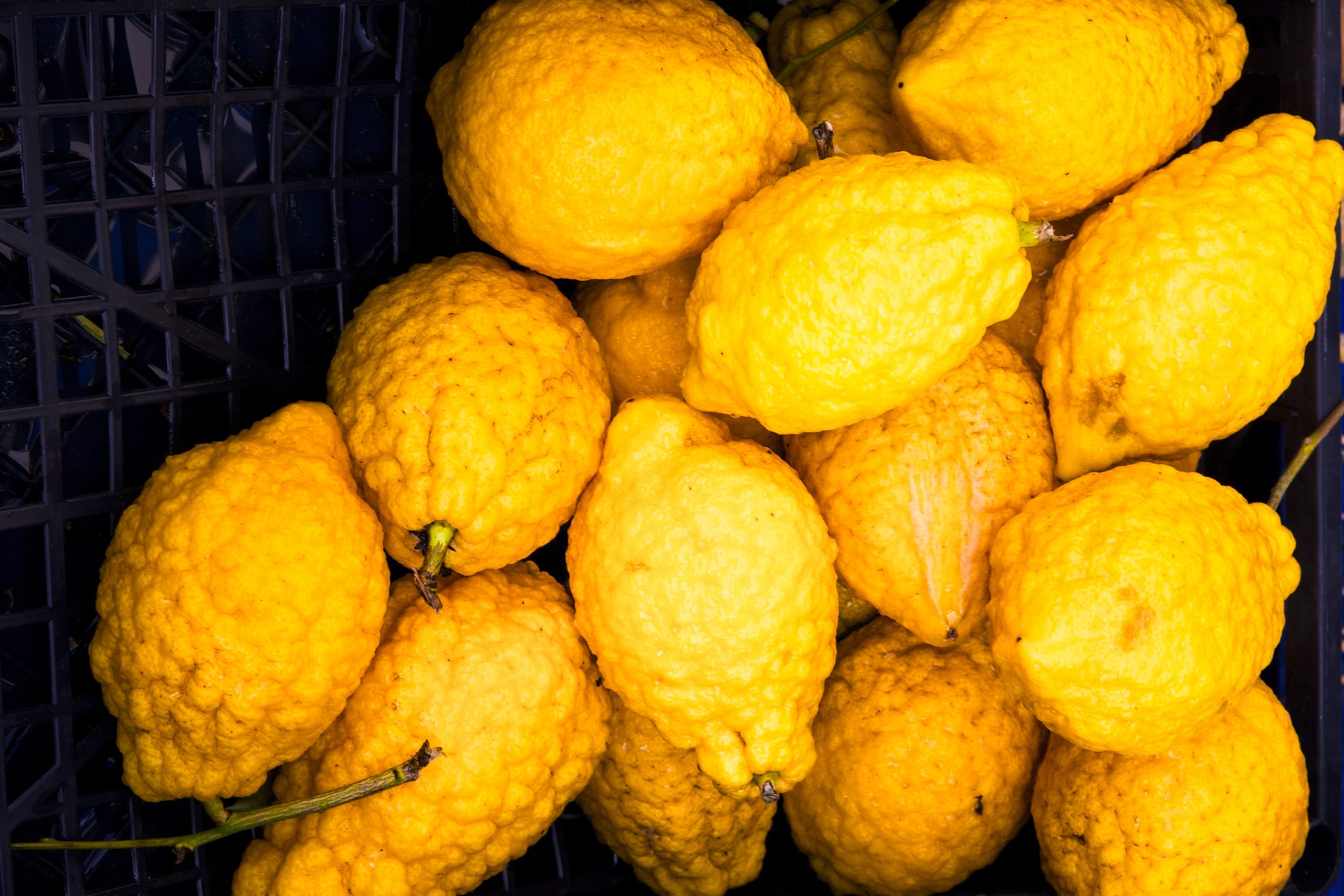 فاكهة الترنج|shutterstock