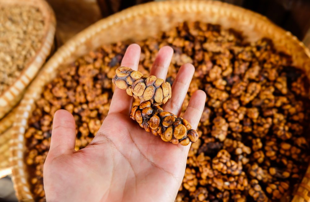 أغلى قهوة في العالم 