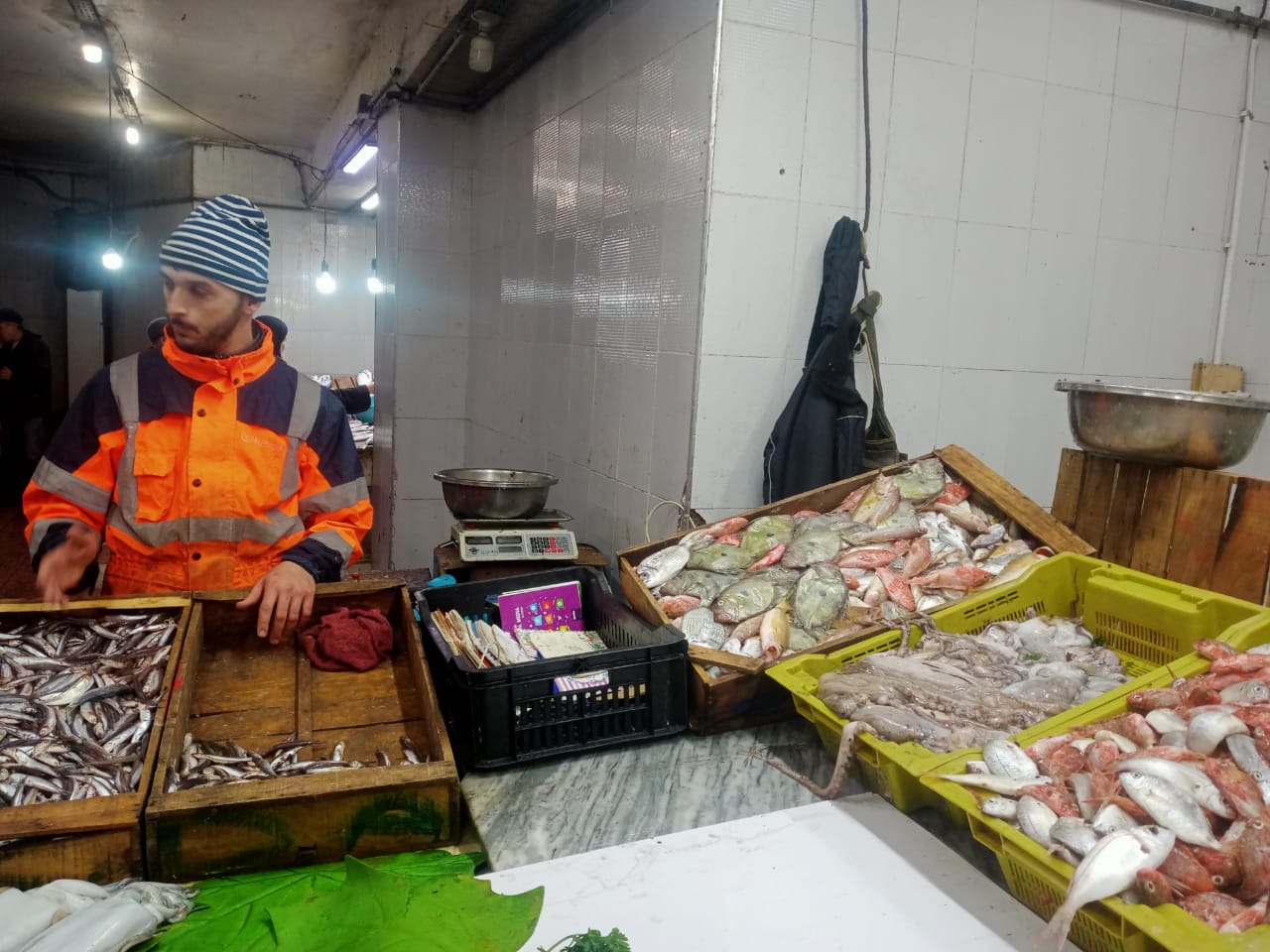 ارتفاع أسعار السمك في الجزائر