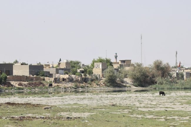 أصبح بالإمكان رؤية قاع النهر! تراجع منسوب مياه دجلة والفرات جنوبي العراق، والسلطات تعِد بالتحرك