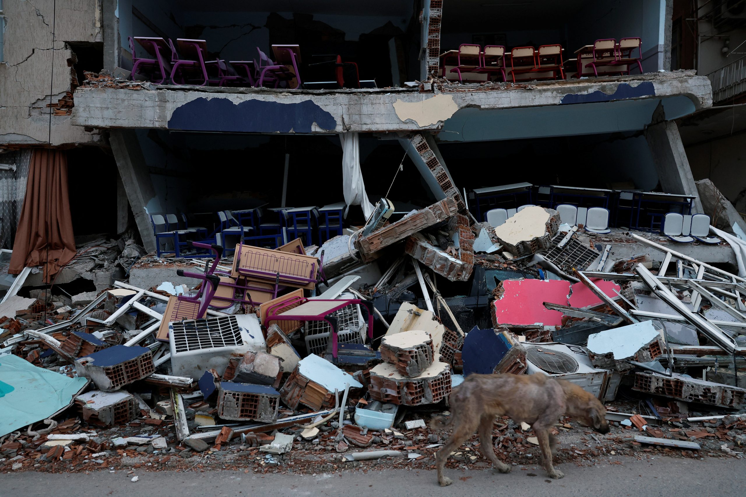 الزلزال في تركيا وسوريا