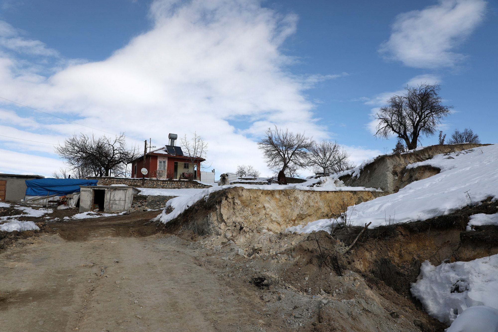 إدارة الكوارث التركية: القشرة الأرضية تحركت 7.3 متر بفعل الزلزال.. صور لقرية قسمها الصدع لشقين