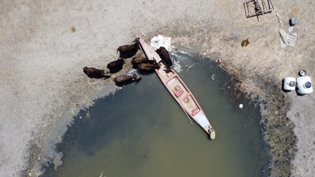 أهوار العراق