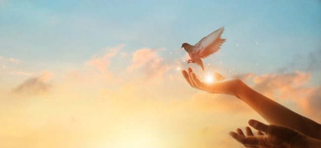 لم تكن رحلة روحانية بحتة، إنها مرحلة وعي جديدة