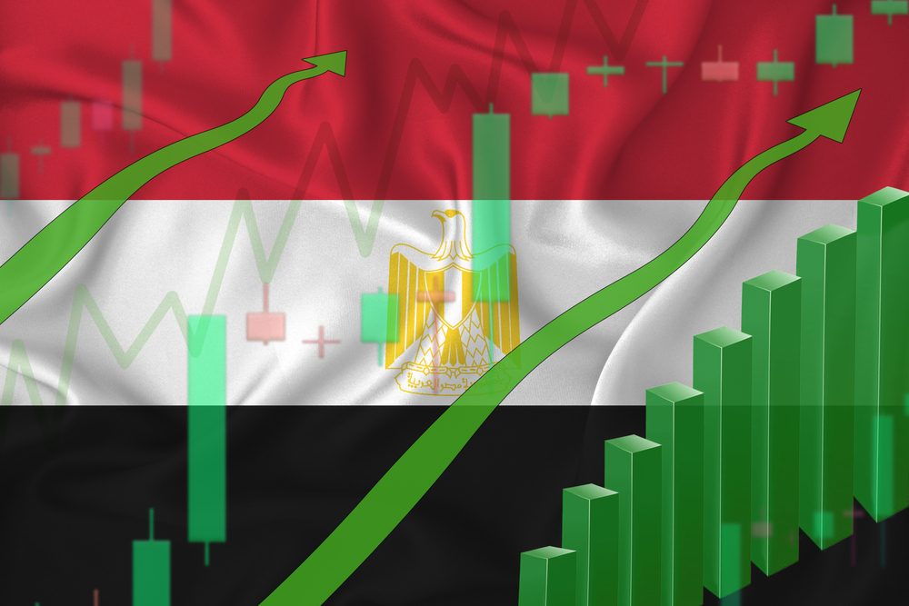 بيع الشركات المصرية