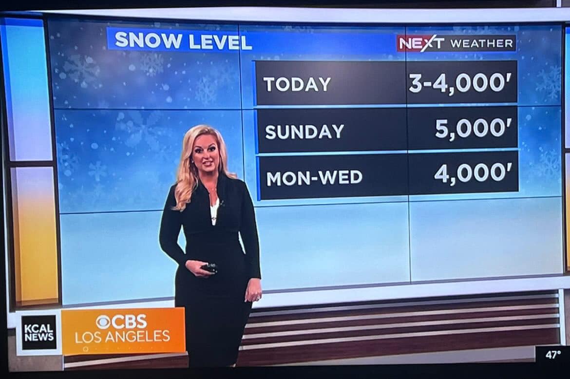 لوس أنجلوس أمريكا أليسا كارلسون شوارتز