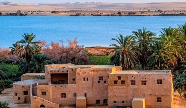 البيوت البيئيية \ مواقع التواصل