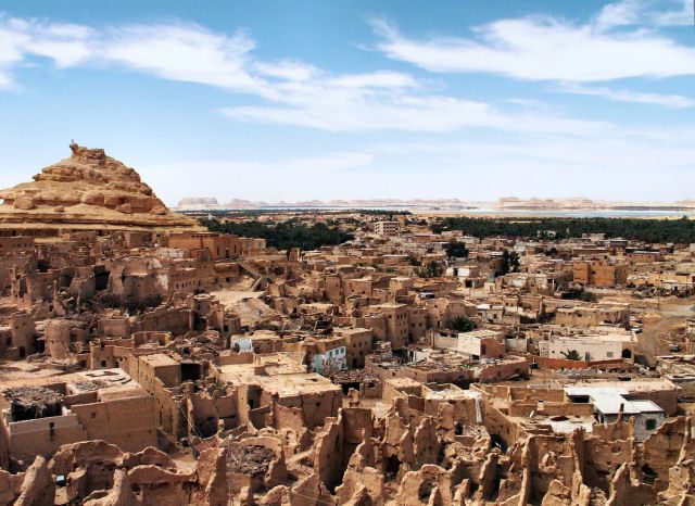 البيوت البيئيية \ مواقع التواصل