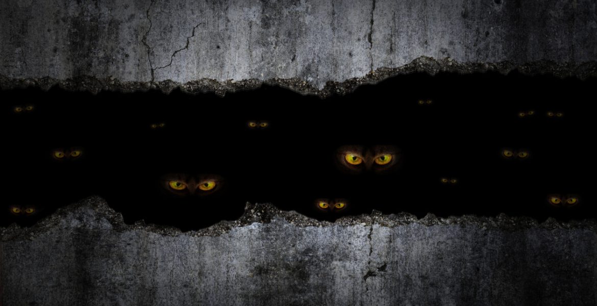 موقع خيالي في إحدى الروايات المصرية.. كيف تحوَّل “سرداب فوريك” إلى حقيقة؟