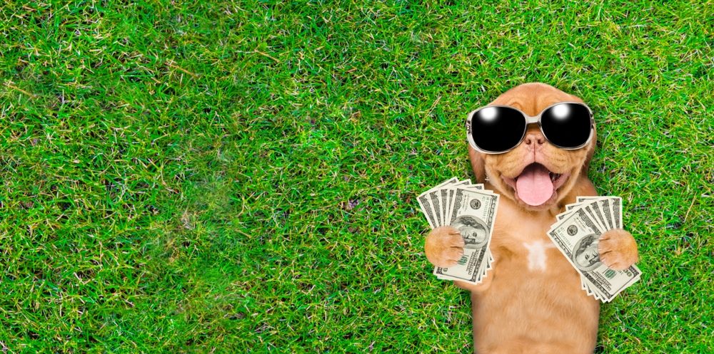 القصة الحقيقية لـ”غونتر السادس” الذي يحمل لقب “أغنى كلب في العالم”