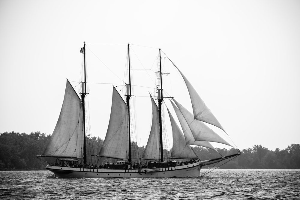 Shutter Stock/ الرحالة الإيطالي جون كابوت مُكتشف أمريكا الشمالية