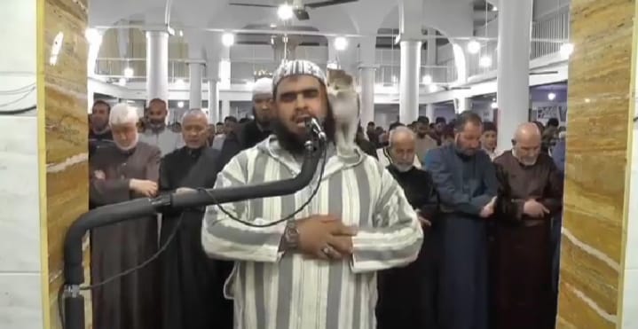 الإمام الجزائري