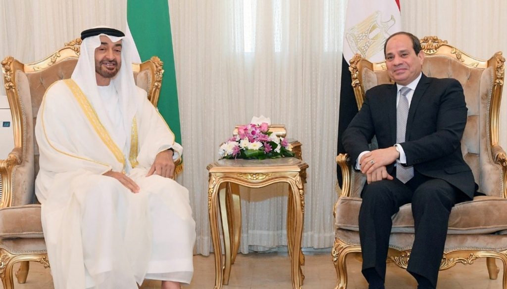 القاهرة طحنون بن زايد