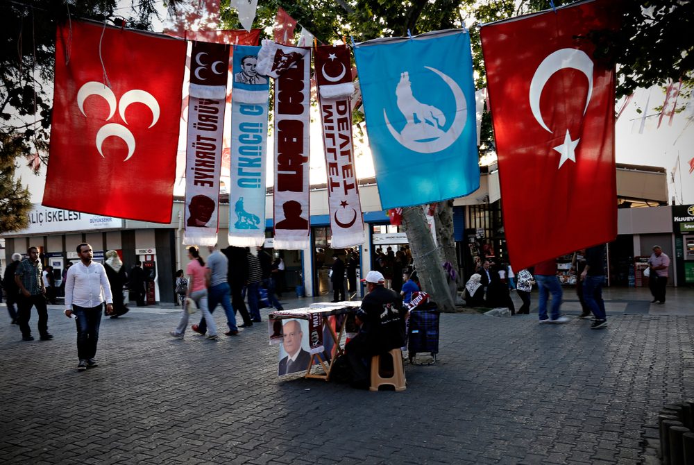 Shutter Stock/ نشأة حزب الحركة القومية التركي MHP