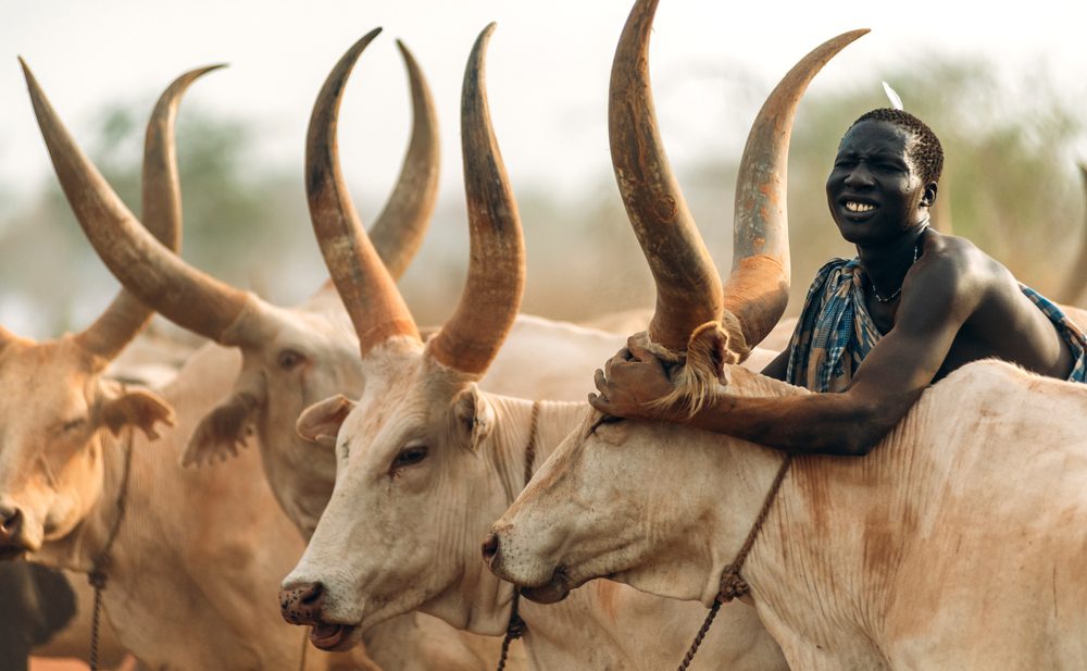 يتمتع السودان بحياة برية وبحرية فريدة من نوعها - ShutterStock