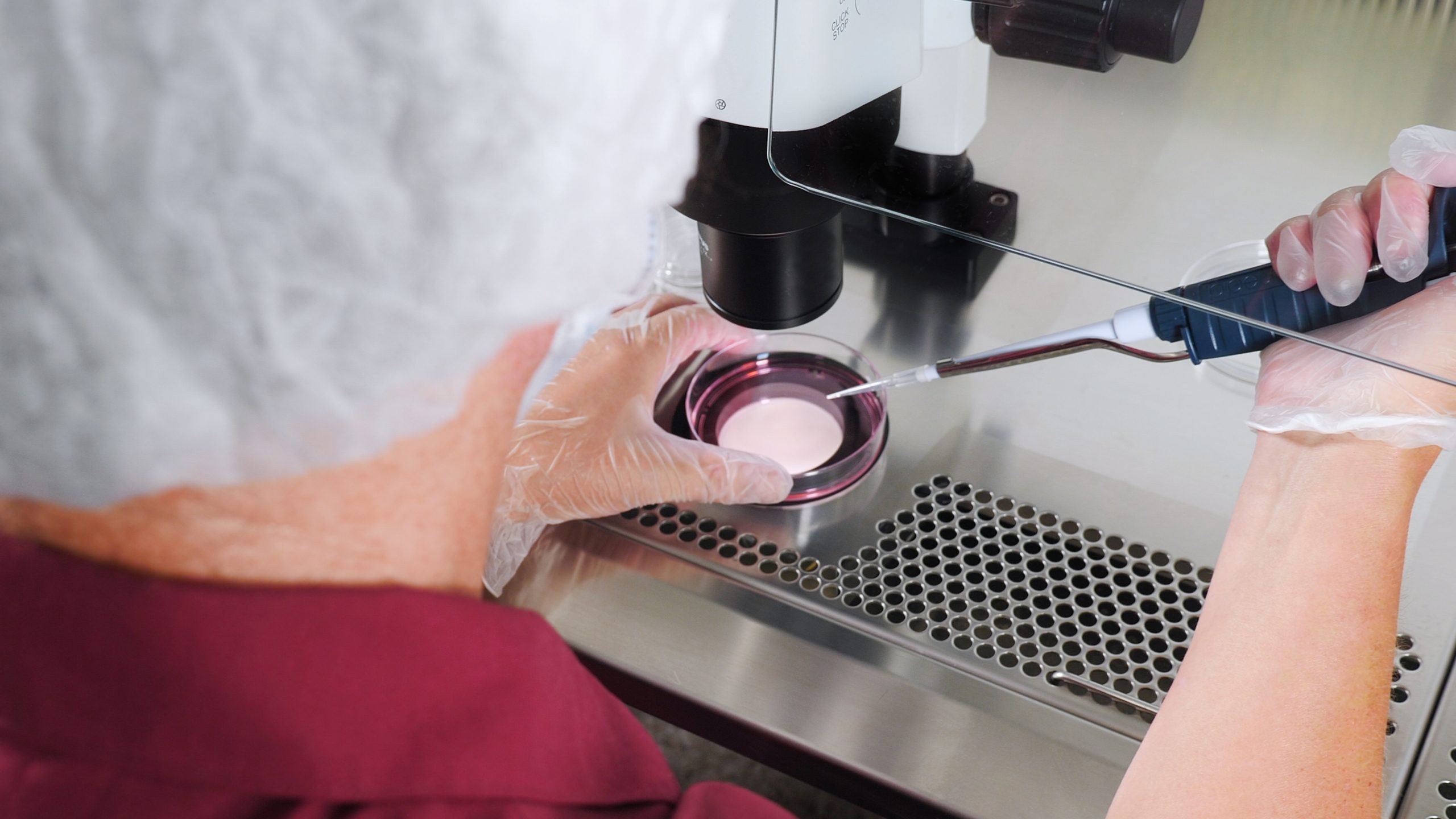 تجميد البويضات في مصر