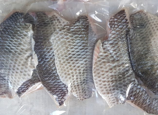 سحري في تخفيف الألم وتقليل فترة العلاج..  فوائد “سمك البلطي” في مداواة الحروق