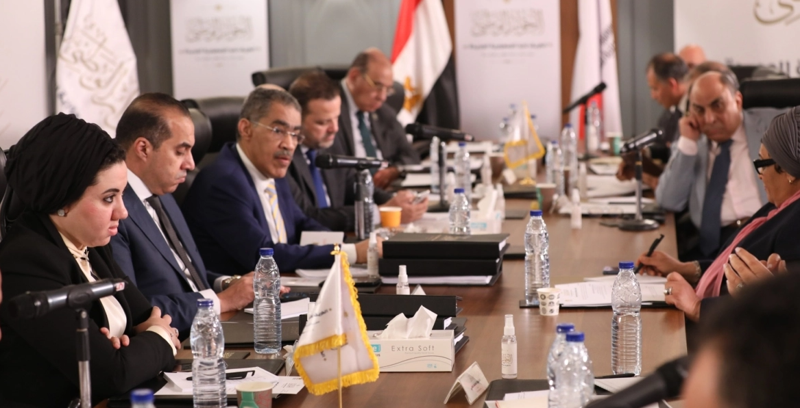 الحوار الوطني المصري - وسائل التواصل الاجتماعي