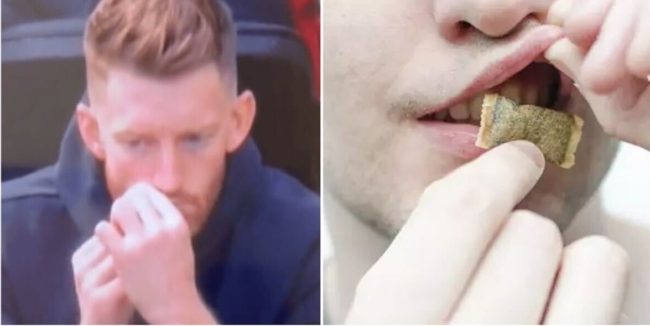 نصف لاعبي إنجلترا أدمنوه ويصيبهم بسرطان الفم.. snus قاتل متسلل داخل الكرة الإنجليزية