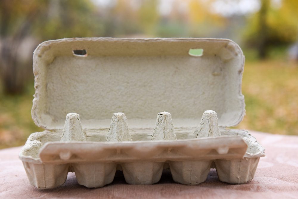 كرتونة البيض