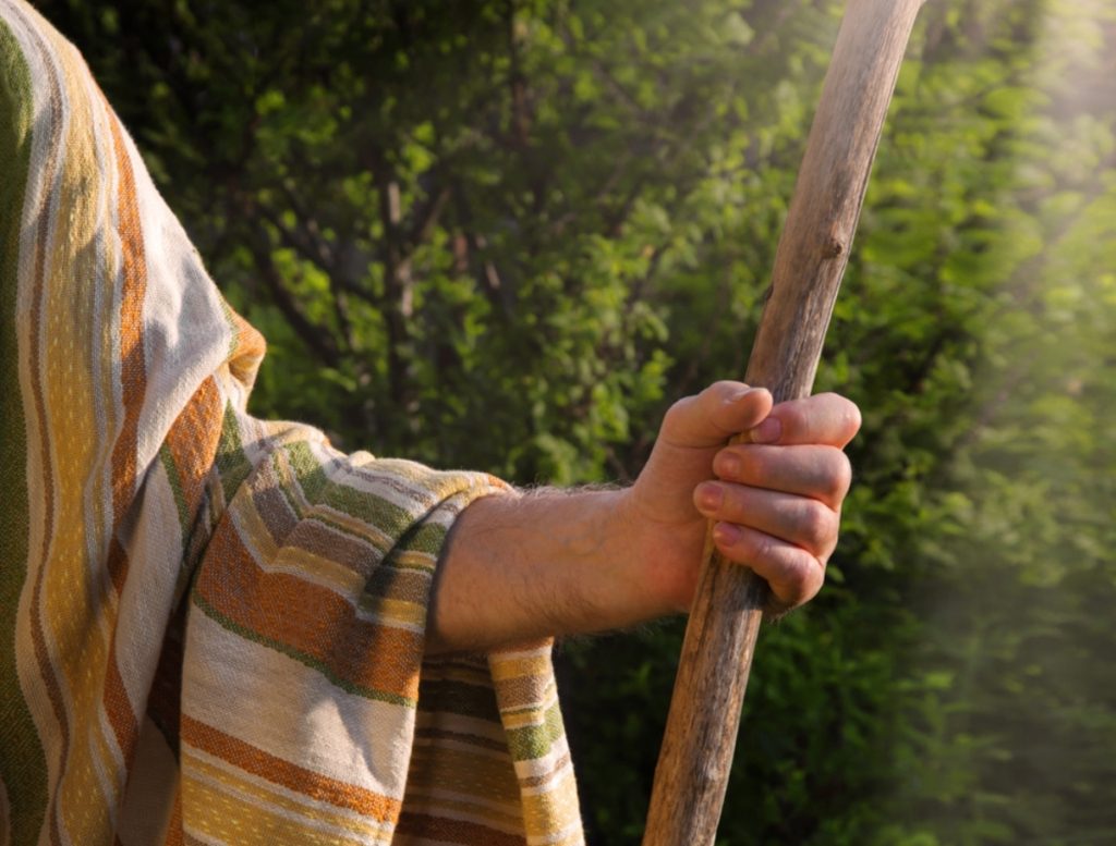 يوسف الصديق مصر