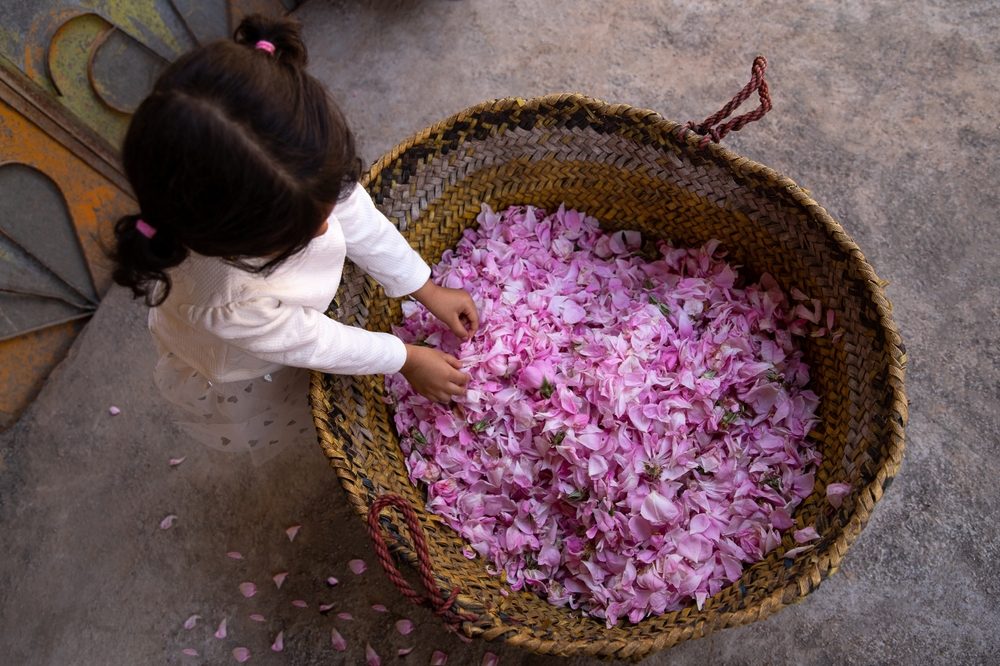 موروث ثقافي قديم يفوح بعبير الزهور.. تاريخ عادة "تقطير الورد" في مدينة قسنطينة الجزائرية