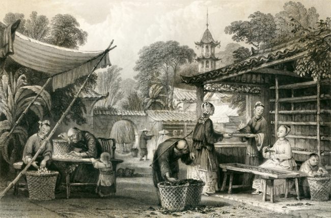 من بينها الشاي والورق.. أعظم اختراعات الصين القديمة