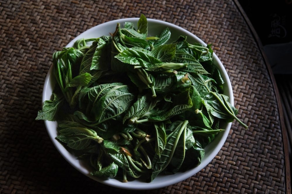 Shutter Stock/ فوائد الملوخية