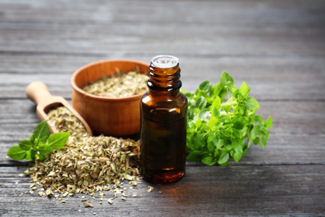 غنية بمضادات الأكسدة وتساعد في الوقاية من السرطان.. ما فوائد عشبة “الأوريجانو”