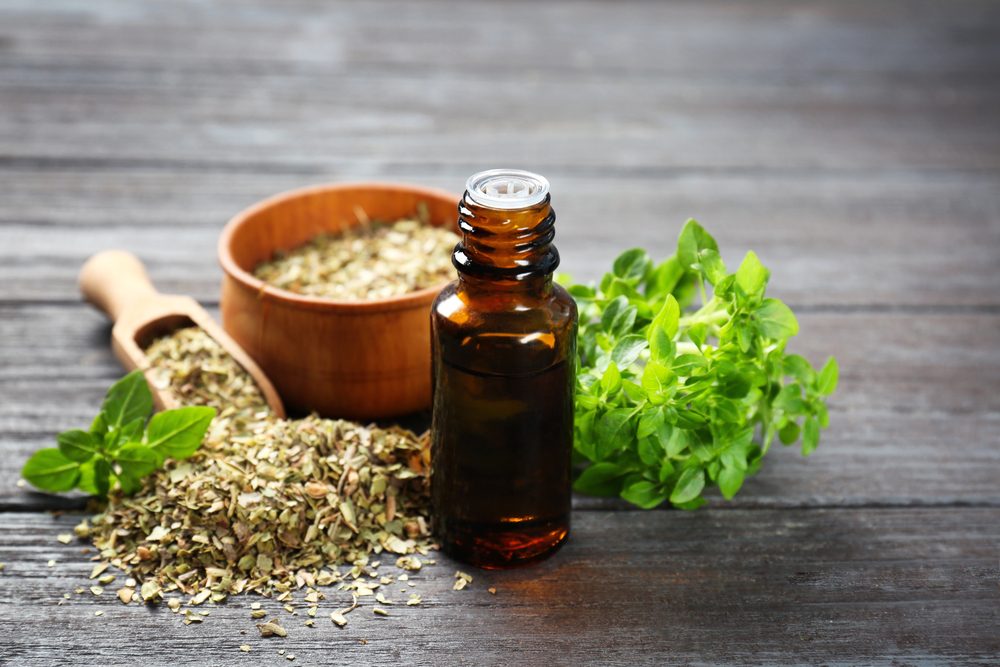 الأوريجانو