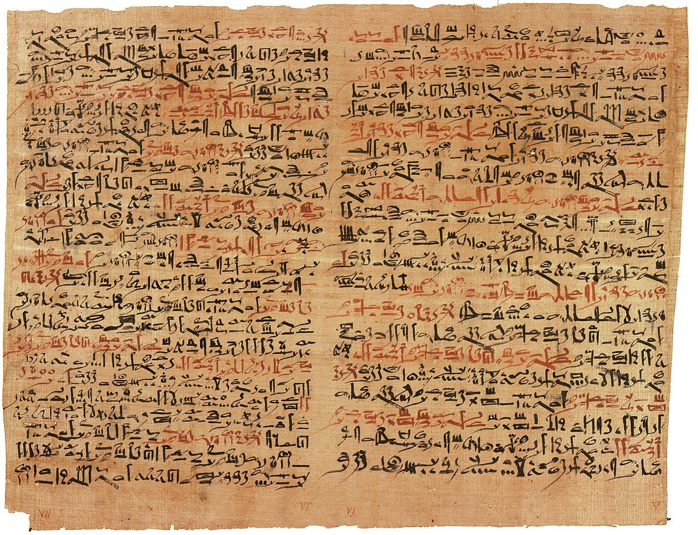 بردية إدوين سميث باللغة الهيراطيقية المصرية القديمة/ Wikipedia