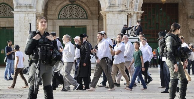 قطر تجدد إدانتها اقتحامات المستوطنين للأقصى.. والأردن يحتج لسفارة تل أبيب على اعتداءات ضد مسيحيي القدس