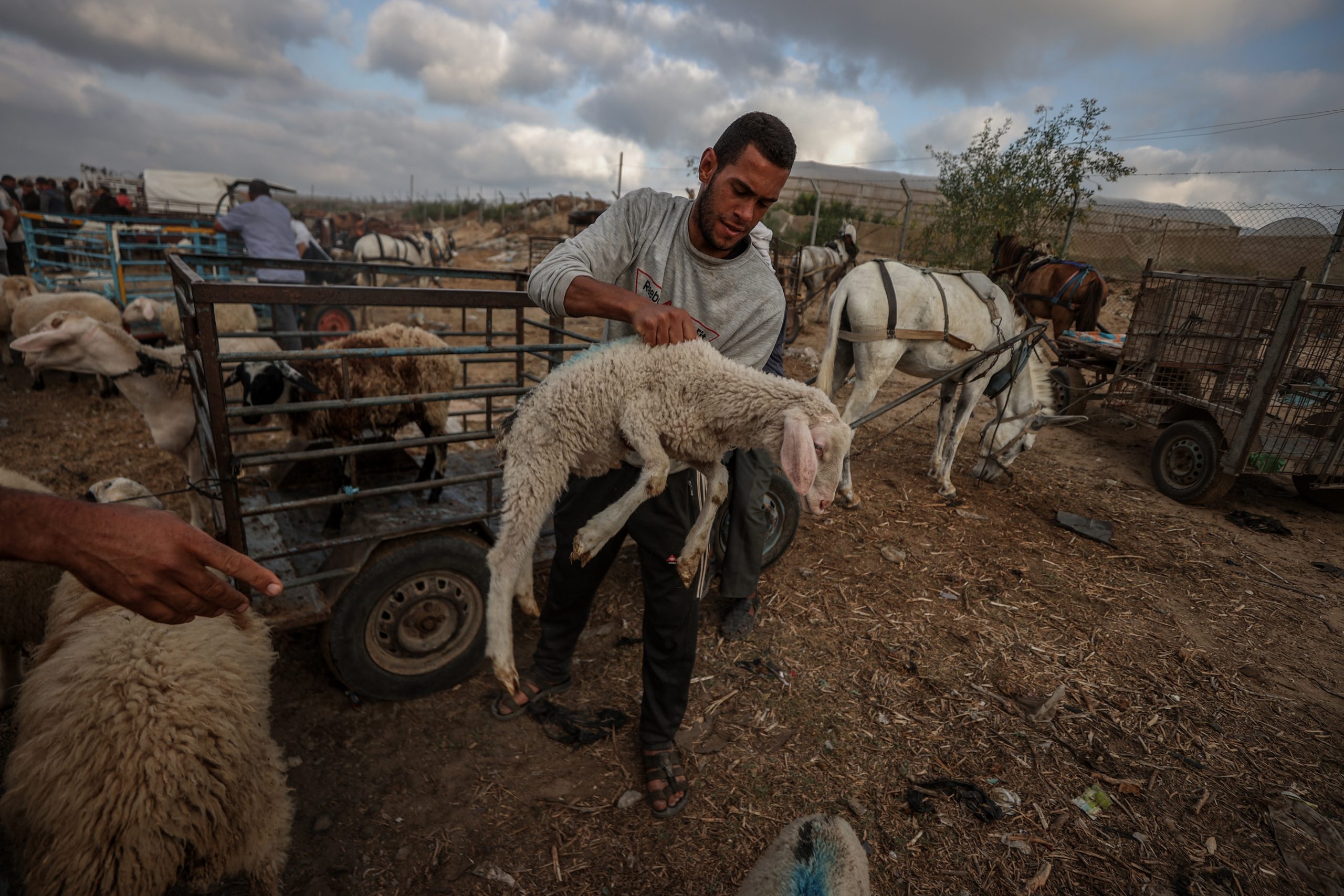 الأناضول/ أبرز الحملات الخيرية في عيد الأضحى المبارك 2023