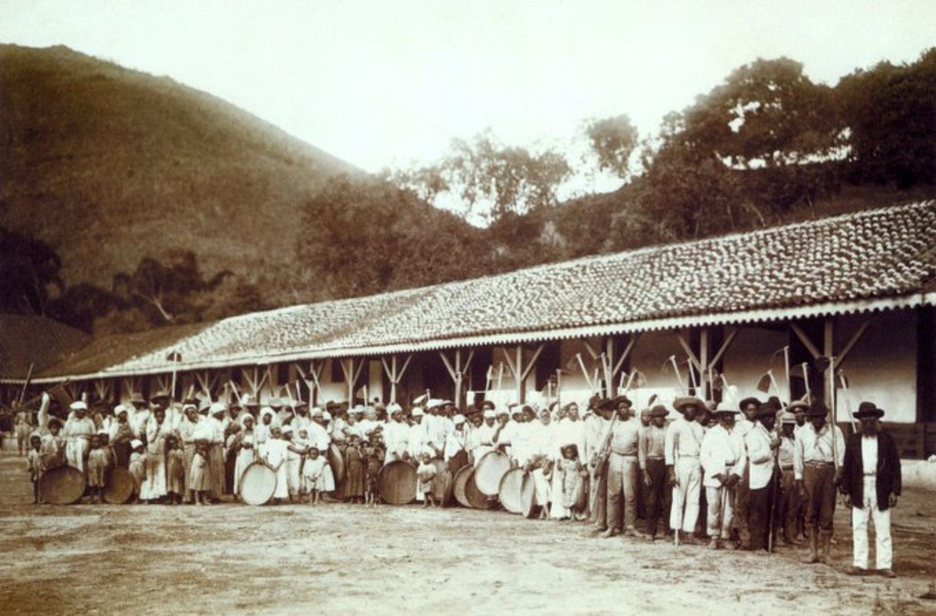 عمال يذهبون إلى موسم حصاد البن في ساو باولو، البرازيل عام 1885/ الصورة من تويتر