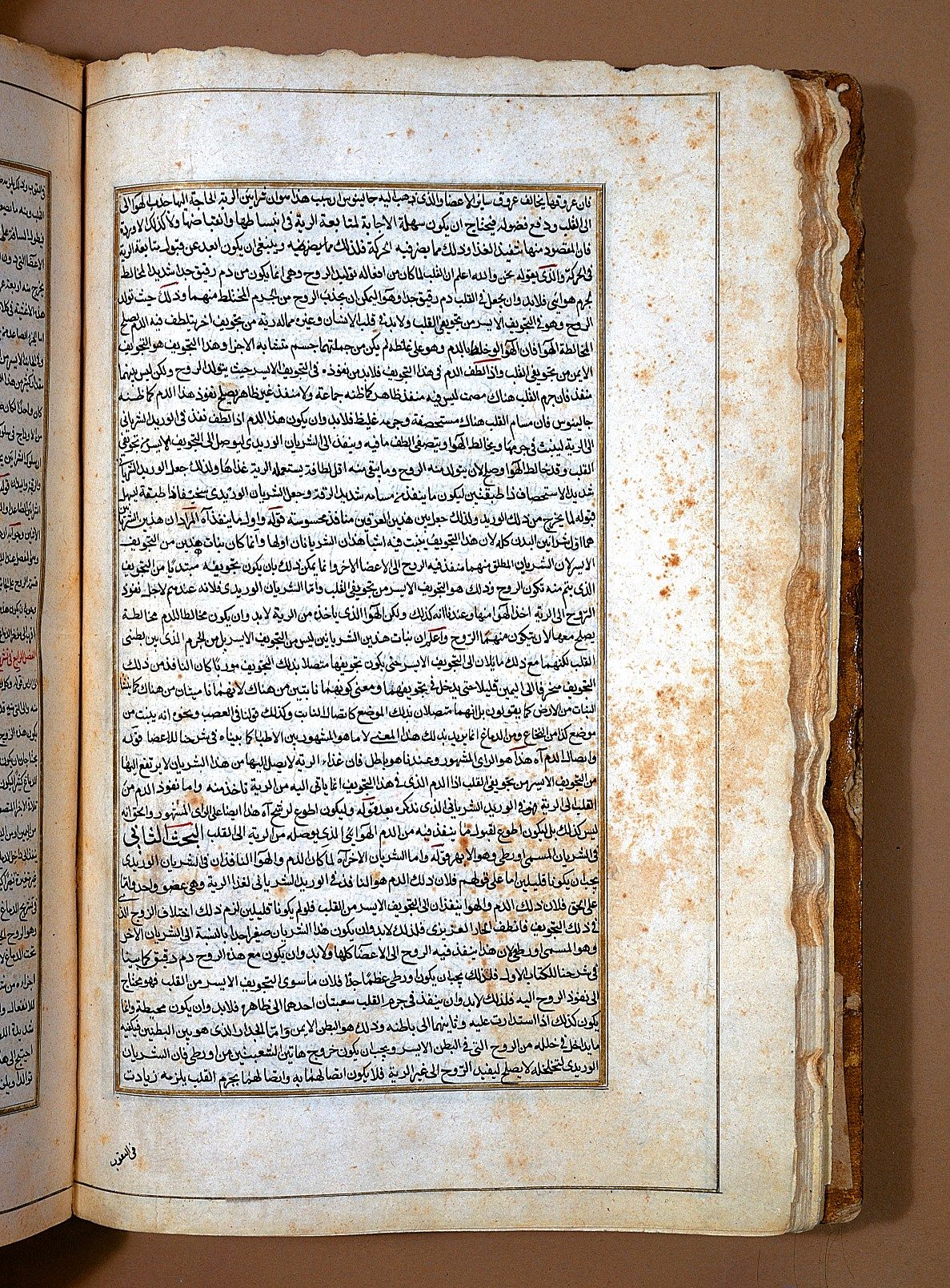 تعقيبه على القانون في الطب لابن سينا/ Wikipedia