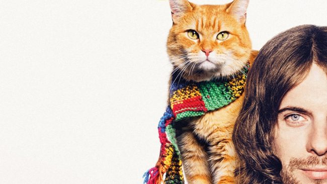 كلب انتظر عودة صاحبه 10 سنوات وقطة أنقذت حياة مدمن! 9 أفلام عن الحيوانات لا تفوّت مشاهدتها