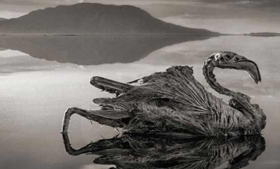 أخطر الأماكن الطبيعية في العالم