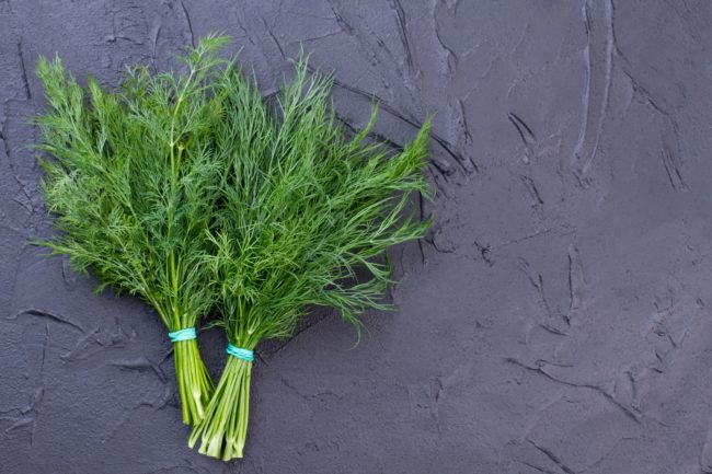 تقي من السرطان، وتحسّن من صحة القلب.. فوائد عشبة عين الجرادة