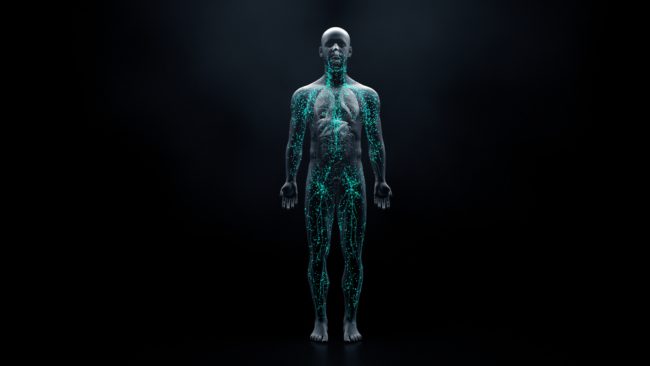 ليس الدماغ ولا عظم الفخذ.. تعرّف على أثقل أعضاء جسم الإنسان